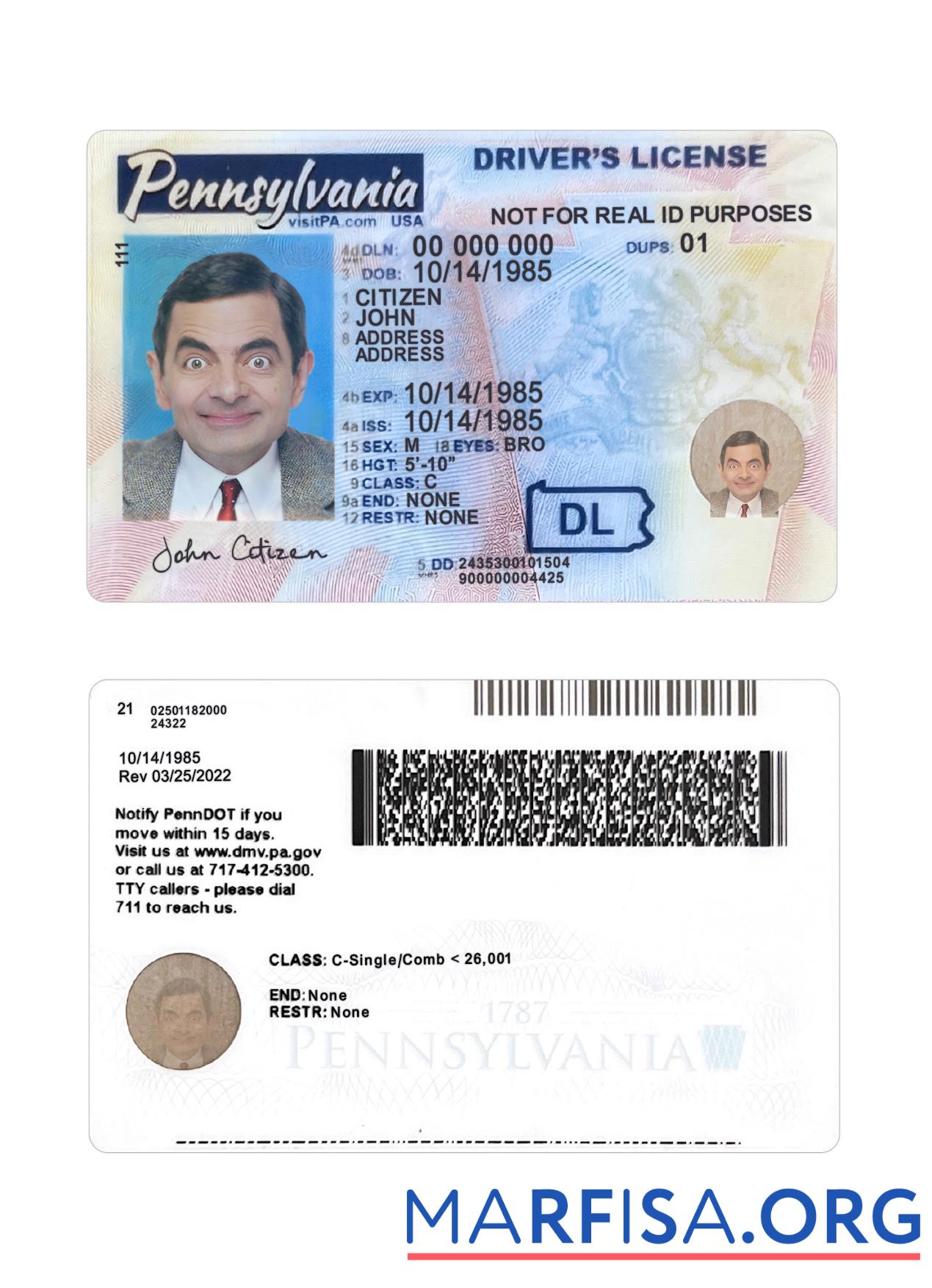 Downloadable USA Pennsylvania driving license 2024 present real example